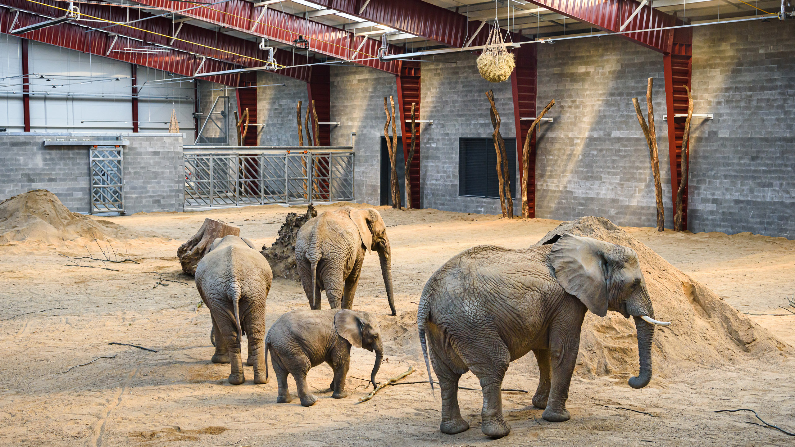 Breeding facility for elephants